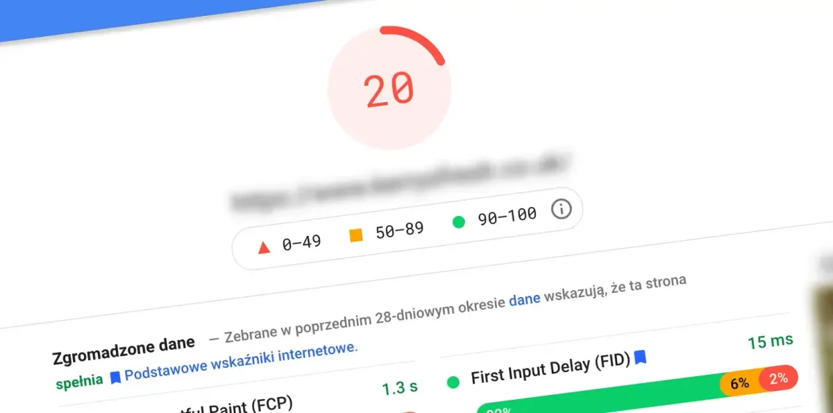 PageSpeed Insight
