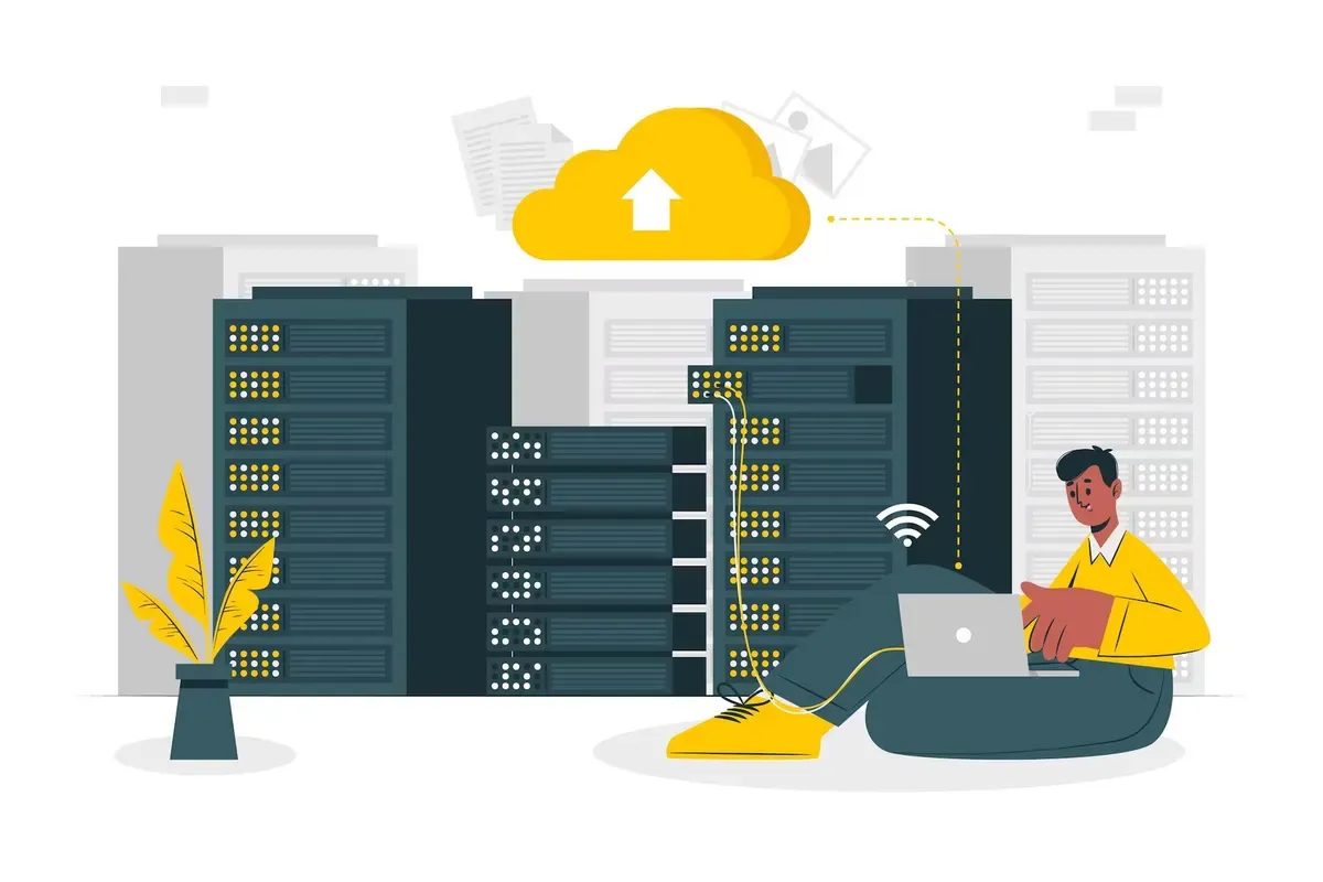 Developer researching why a backup for your WordPress site is crucial