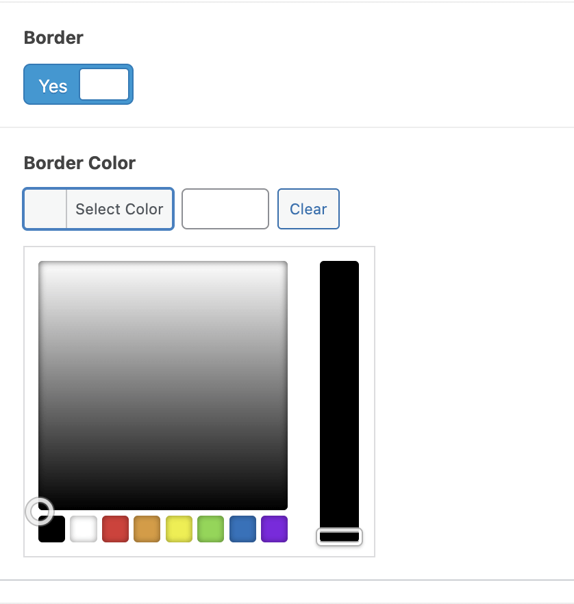 Conditional logic field - border & color